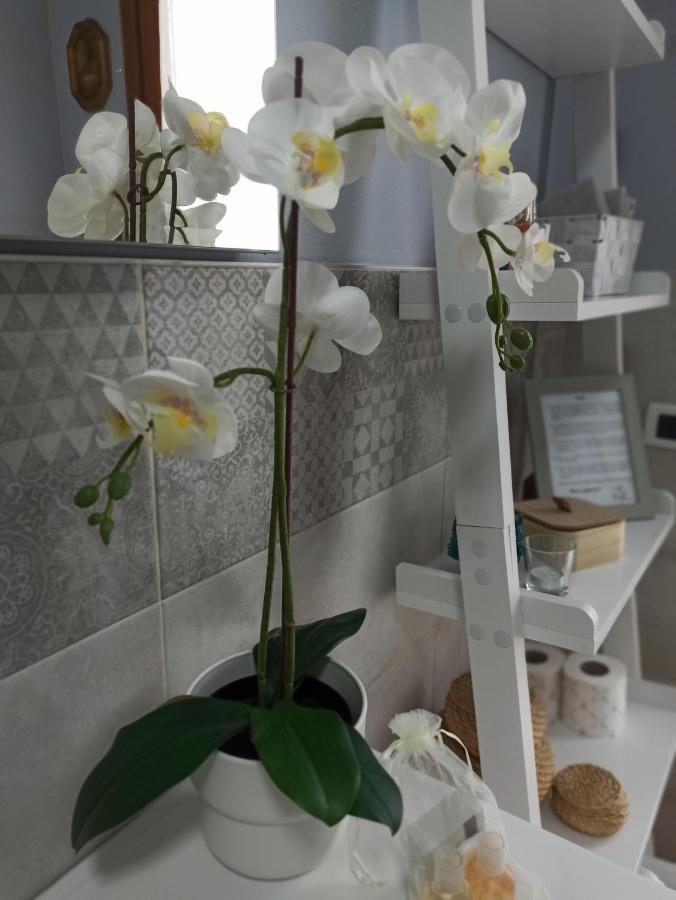 Alloggio La Perla, Quiete Ed Eleganza Con Vista 바르바라노 비센티노 외부 사진